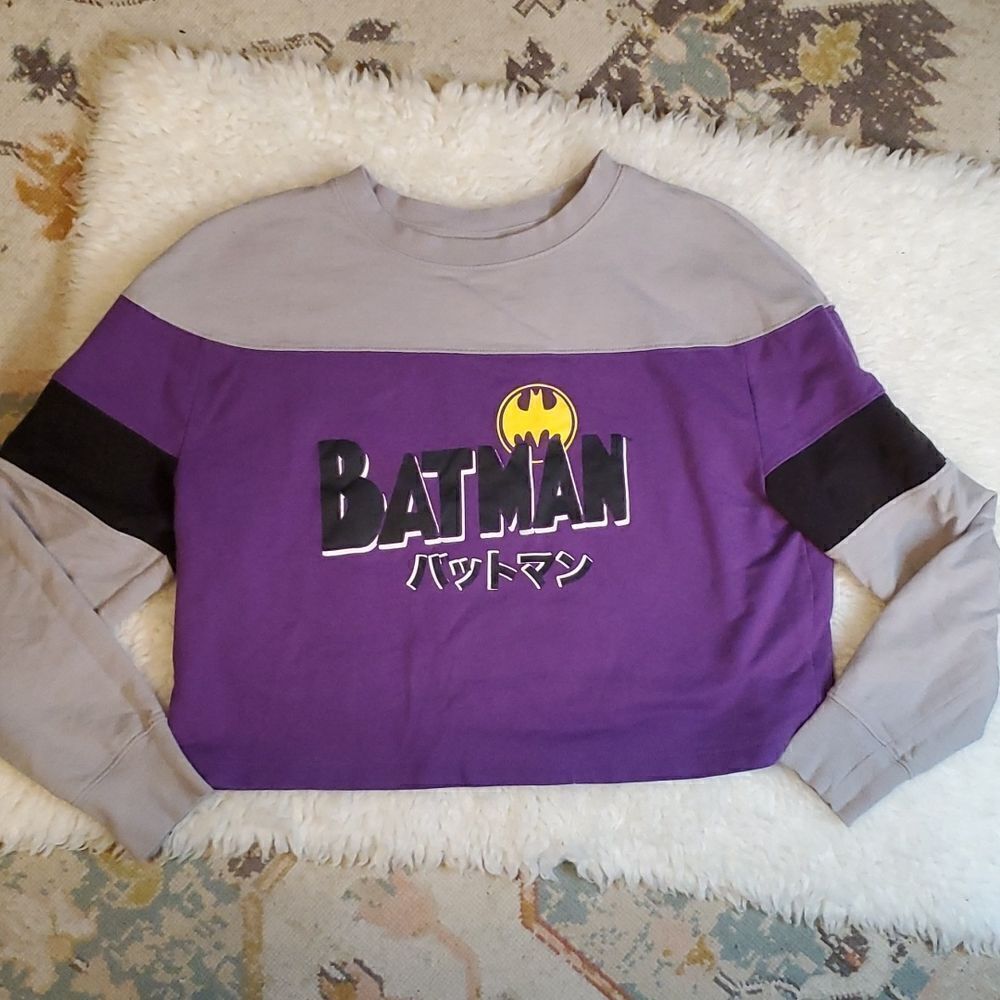 Batman Cropped Sweater Top Womens S JAPANESE LOGO Purple Gray Black